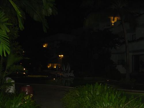 1102.jpg